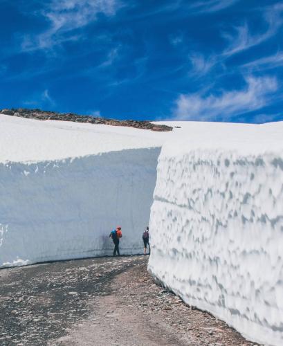 Snow Walls