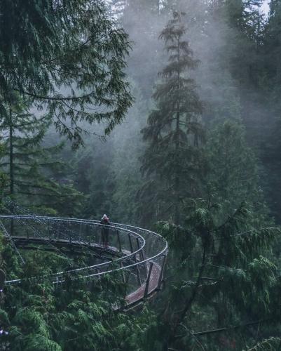 Capilano River Trail