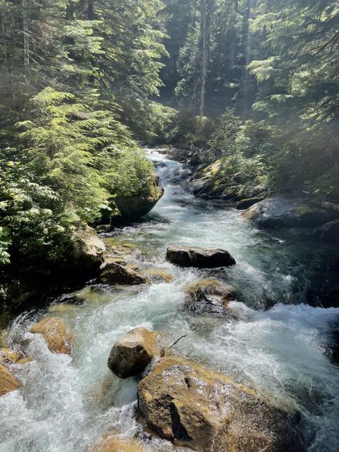 Mount Slesse Memorial Hike