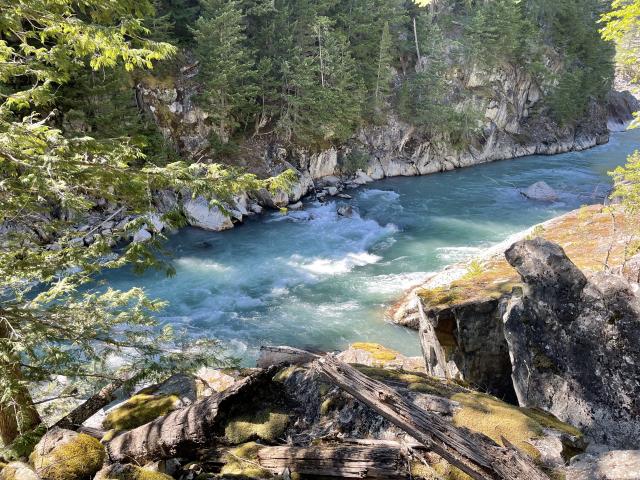 Cheakamus River