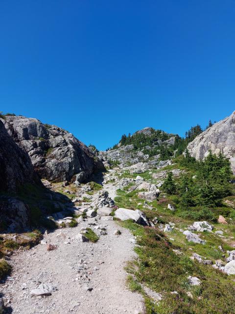 Mt Seymour