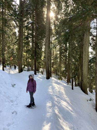 Dog Mountain Trail