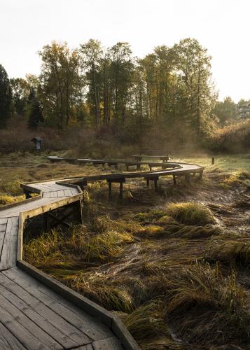 Shoreline Trail