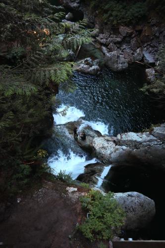 Lynn Canyon