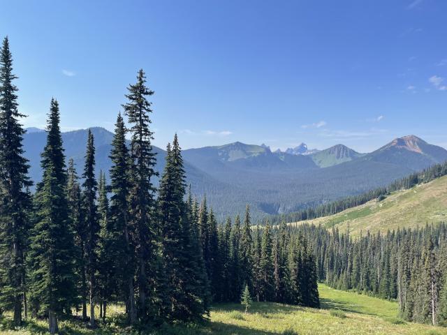 Poland Lake Trail