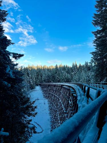 Cowichan Valley Trail - Kinsol Trestle