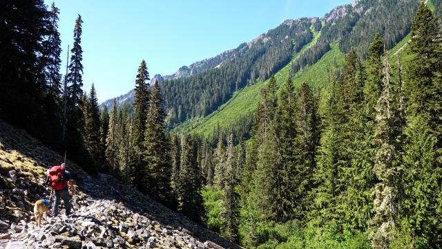 Lindeman And Greendrop Lakes Trail