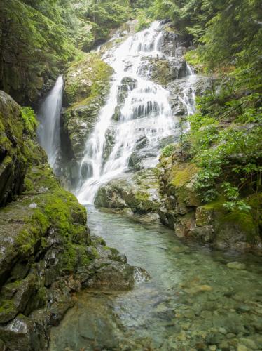 Big Cedar And Kennedy Falls Trail