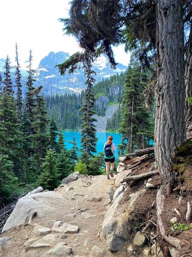 Joffre Lake Trail