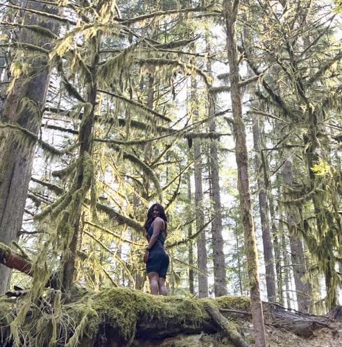 Lynn Canyon