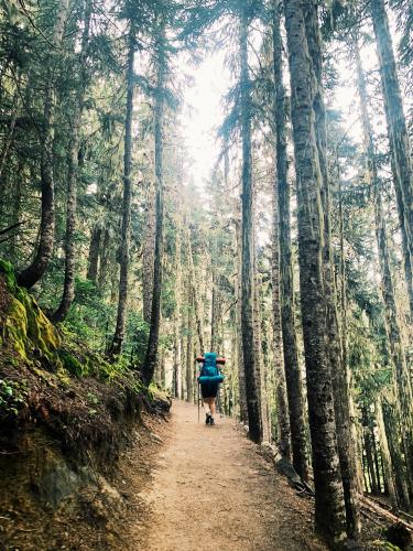 Garibaldi Lake Trail