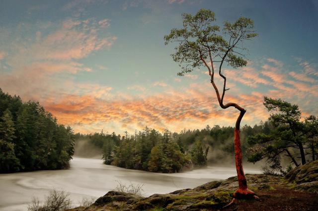 Thetis Lake