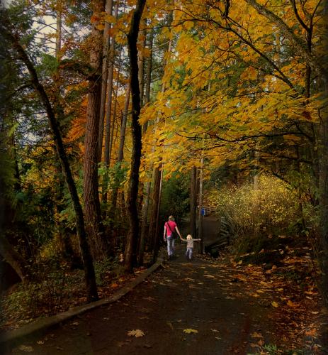 Thetis Lake Trail