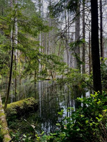 Smuggler Cove Marine Provincial Park