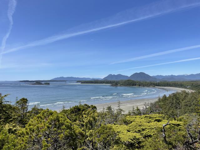 Cox Bay Lookout