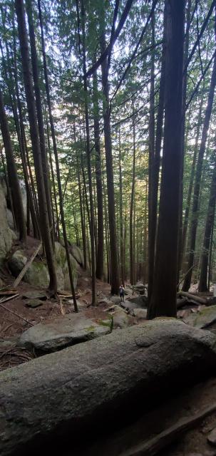 Stawamus Chief