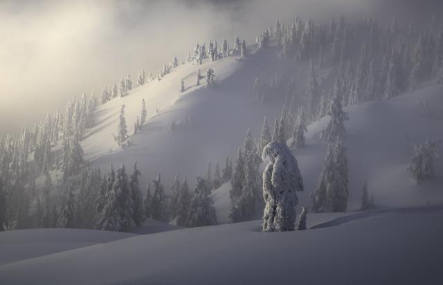 Dog Mountain Trail