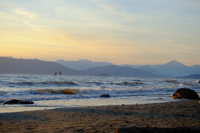 Foreshore Trail