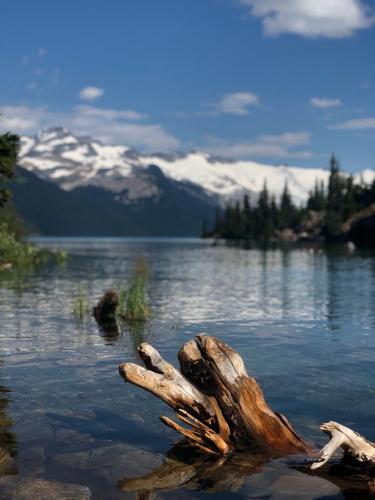 Garibaldi Lake Trail