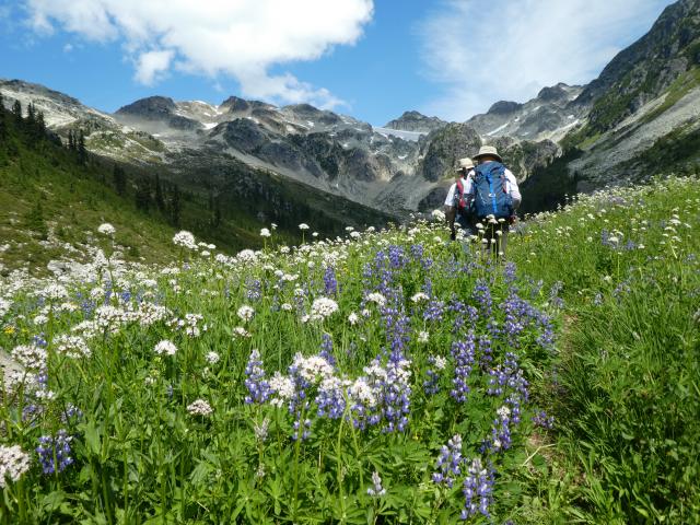 BRANDYWINE MEADOW TRAIL HEAD