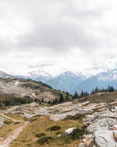 Musical Bumps Trail