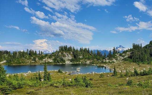 Brew Lake Trail