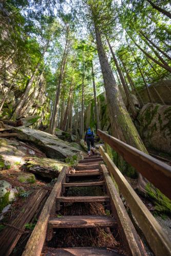 Stawamus Chief