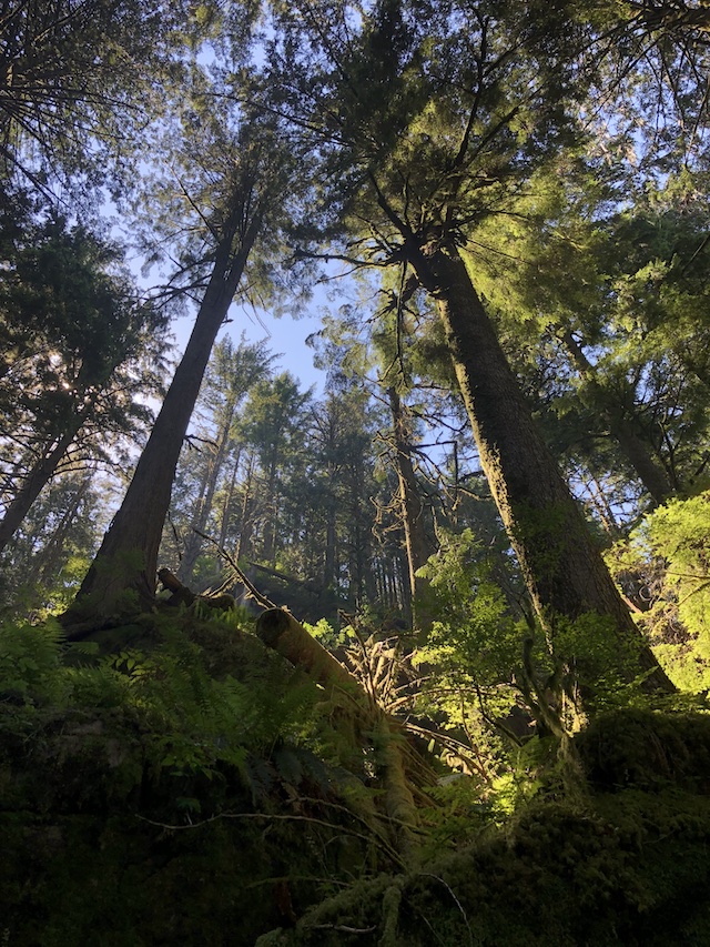 Golden Ears