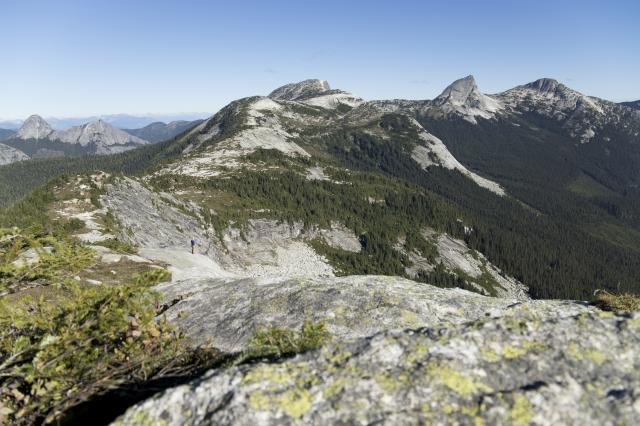 Alpaca Peak