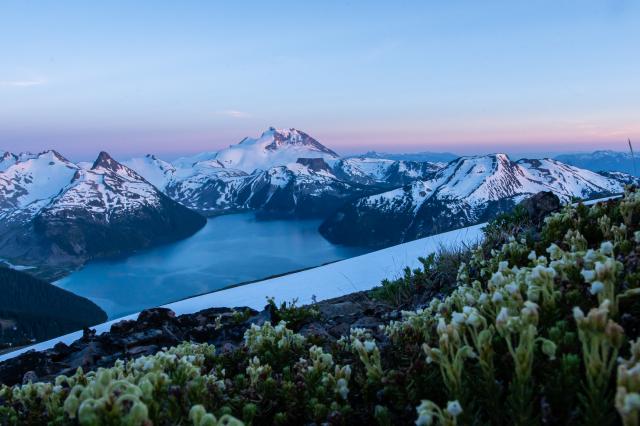 Panorama Ridge Trail