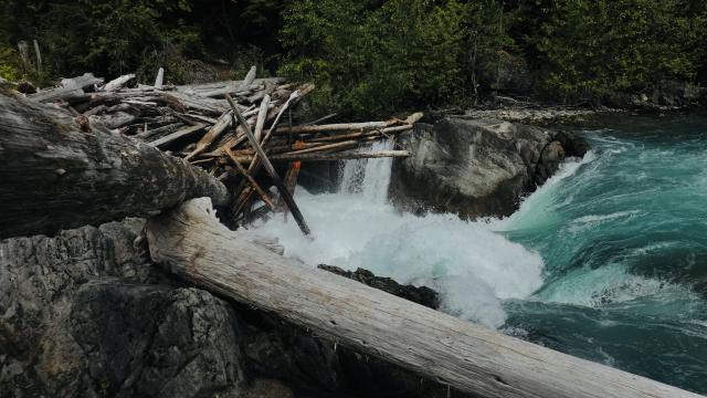 Cheakamus  River Trail