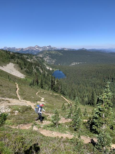 Heather Trails