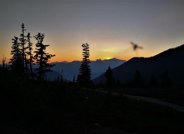 Elfin Lake Campsite