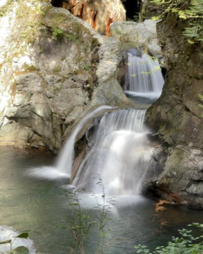 Lynn Canyon Park