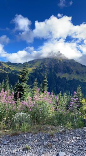 Mount Cheam