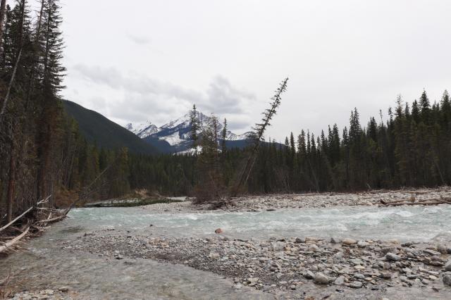 Thompson Falls