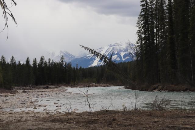 Thompson Falls