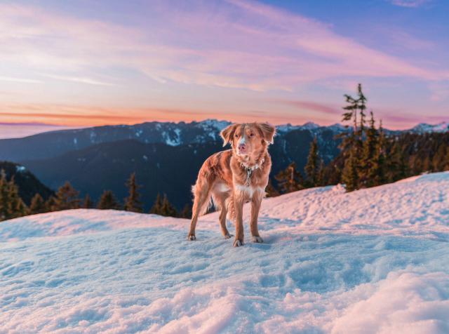 Brockton Peak Via Pump Peak