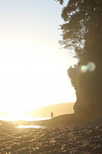 Juan De Fuca Trail