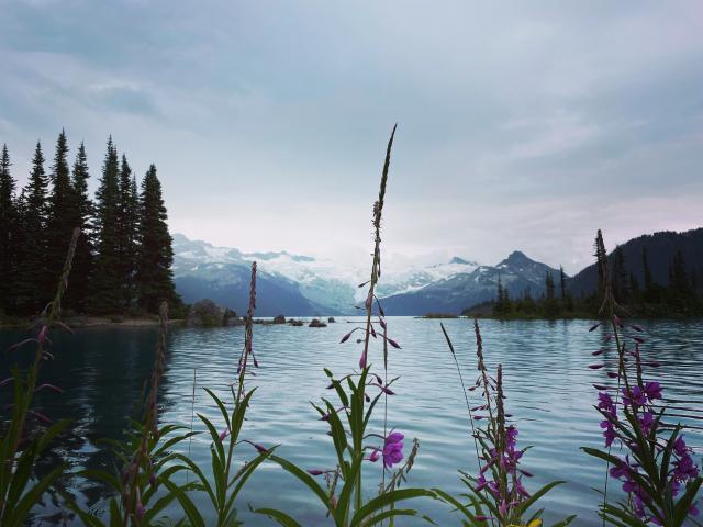 Garibaldi Lake