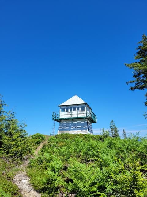 Harrison Fire Lookout