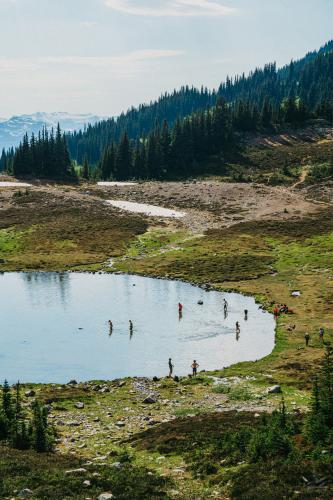 Taylor Meadows Trail