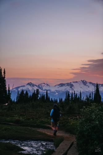 Taylor Meadows Trail.