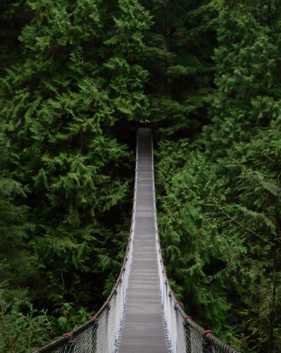 Lynn Canyon Suspension Bridge