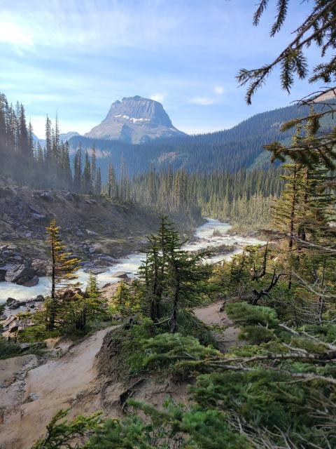 Takakkaw Falls Trail