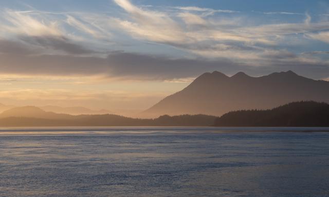 Tofino