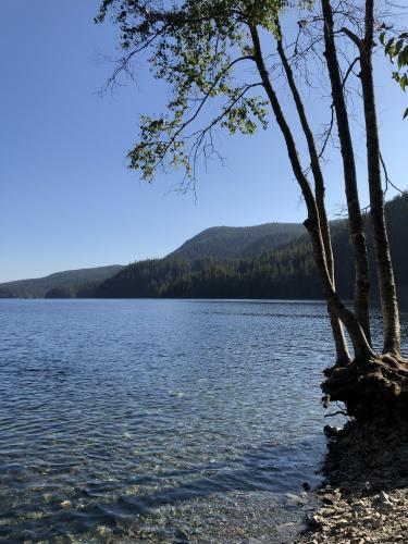 Buntzen Lake Loop Trail