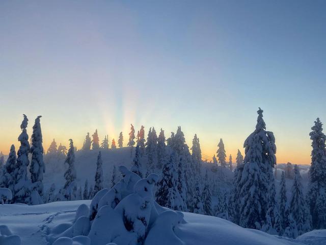 Mount Seymour Trail