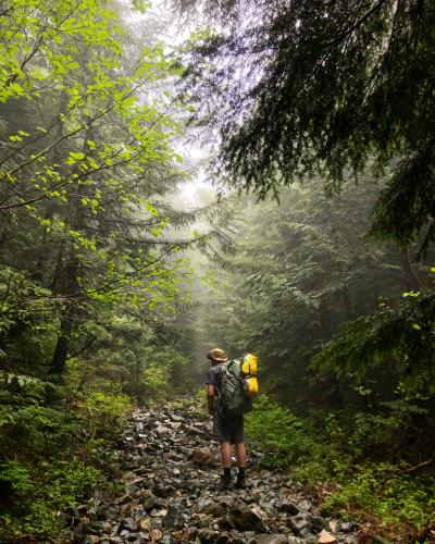 Golden Ears West Canyon Trail