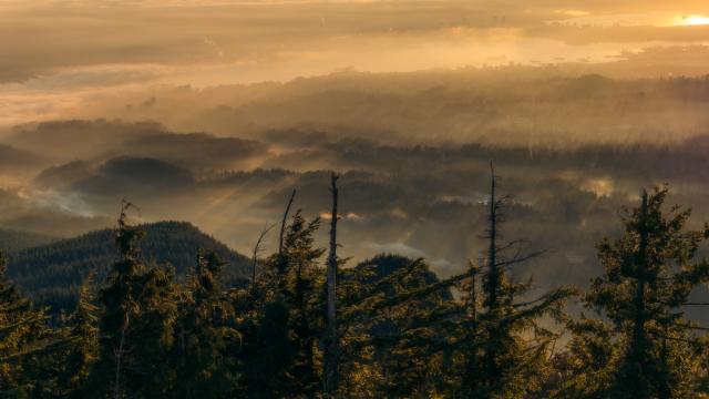 Dog Mountain Trail